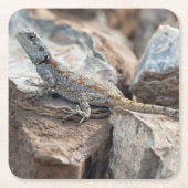 BlaukopfAgama Rechteckiger Pappuntersetzer (Vorderseite)