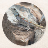 BlaukopfAgama Runder Pappuntersetzer (Vorderseite)