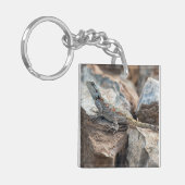 BlaukopfAgama Schlüsselanhänger (Vorderseite links)