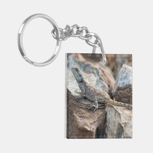 BlaukopfAgama Schlüsselanhänger (Vorderseite links)