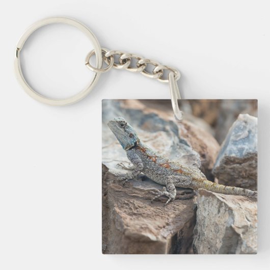 BlaukopfAgama Schlüsselanhänger (Vorderseite)