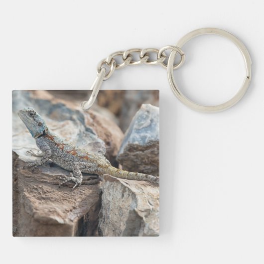 BlaukopfAgama Schlüsselanhänger (Rückseite)