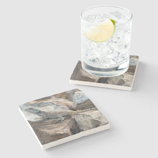 BlaukopfAgama Steinuntersetzer (Seitenansicht)