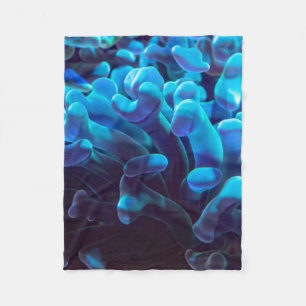 Blaukoralle Fleecedecke