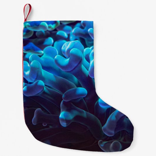 Blaukoralle Kleiner Weihnachtsstrumpf (Vorderseite)