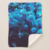 Blaukoralle Sherpadecke (Vorderseite)