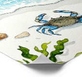 Blaukrabbe, weißer Strand Poster (Ecke)