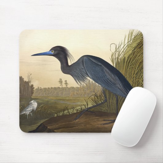 Blaukran oder Heronvögel von Amerika John James Mousepad (Mit Mouse)