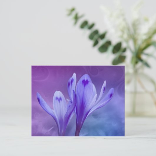 Blaukraut Postkarte (Stehend Vorderseite)