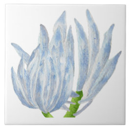 Blaukreide an einer Keramik Fliese