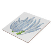 Blaukreide an einer Keramik Fliese (Seite)