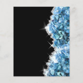 Blaukristalle-Flyer Flyer (Hinten)