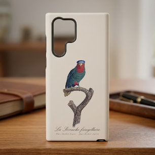 Blaukronenlori, Vini Australis Samsung Galaxy Hülle