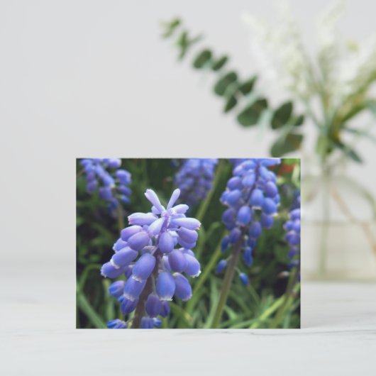 Blaulenzer Postkarte (Stehend Vorderseite)