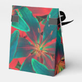 Blaulilie Geschenkschachtel (Rückseite)