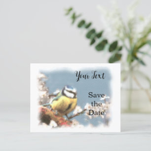 Blaumeise - Aquarell-Design   Postkarte