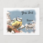 Blaumeise - Aquarell-Design | Postkarte (Vorderseite)