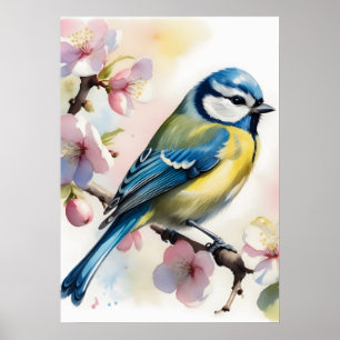 Blaumeise auf Apfelbaum im Frühling, Aquarell Poster