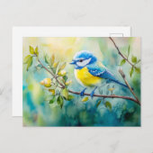Blaumeise auf einem Aquarellbild Postkarte (Vorne/Hinten)