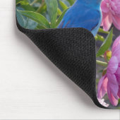 Blaumeise auf einer rosa Pfingstrose Mousepad (Ecke)
