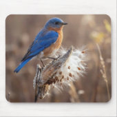 Blaumeise auf einer Seidenpflanzenkapsel Mousepad (Vorne)