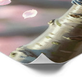 Blaumeise auf Kirschblütenbaum im Frühling Poster (Ecke)