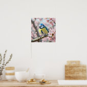 Blaumeise auf Kirschblütenbaum im Frühling Poster (Küche)