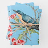 Blaumeise auf Nelken, Vintage-Illustration, Geschenkpapier Set (Beispiel)