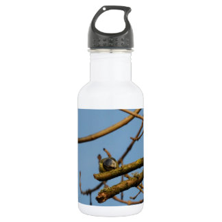 Blaumeise Edelstahlflasche