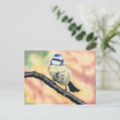 Blaumeise - Farbstiftzeichnung Postkarte (Stehend Vorderseite)