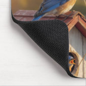 Blaumeise fliegt einen Drachen Mousepad (Ecke)