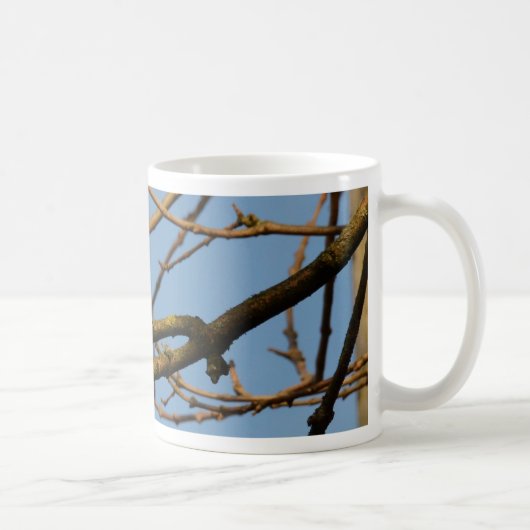 Blaumeise Kaffeetasse (Rechts)