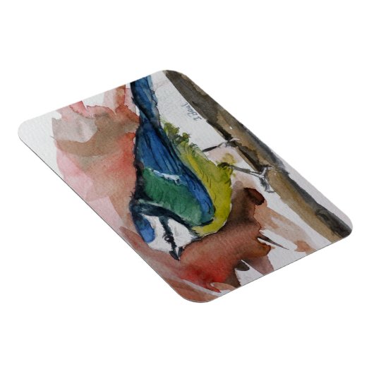 Blaumeise Magnet (Rechte Seite)