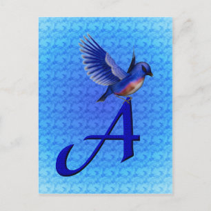Blaumeise-Monogramm Anfangsbuchstabe A Postkarte