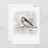 Blaumeise Postkarte (Vorne/Hinten)