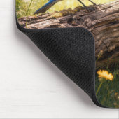 Blaumeise singt im Sonnenschein Mousepad (Ecke)