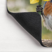 Blaumeise singt in eine gelbe Daffodil Mousepad (Ecke)