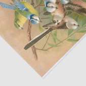 Blaumeise und Langschwanzmeise, Decoupage Seidenpapier (Ausschnitt)