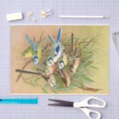 Blaumeise und Langschwanzmeise, Decoupage Seidenpapier (Handwerk)