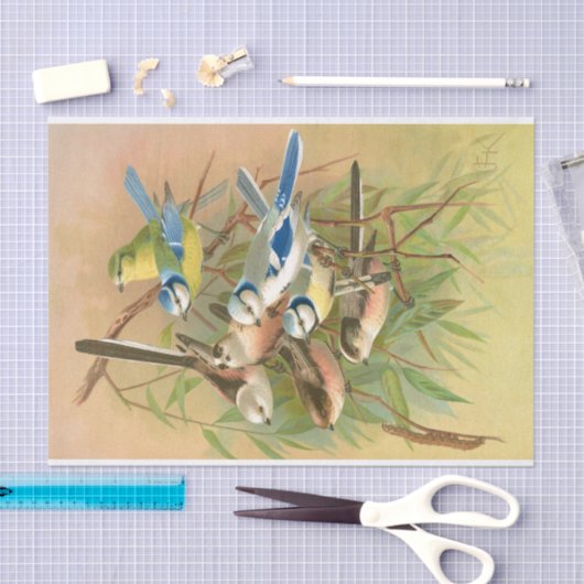 Blaumeise und Langschwanzmeise, Decoupage Seidenpapier (Handwerk)