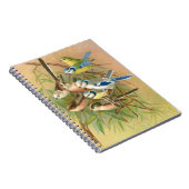 Blaumeise und Langschwanzmeise, Vögel Notizblock (Rechte Seite)