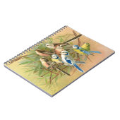 Blaumeise und Langschwanzmeise, Vögel Notizblock (Linke Seite)