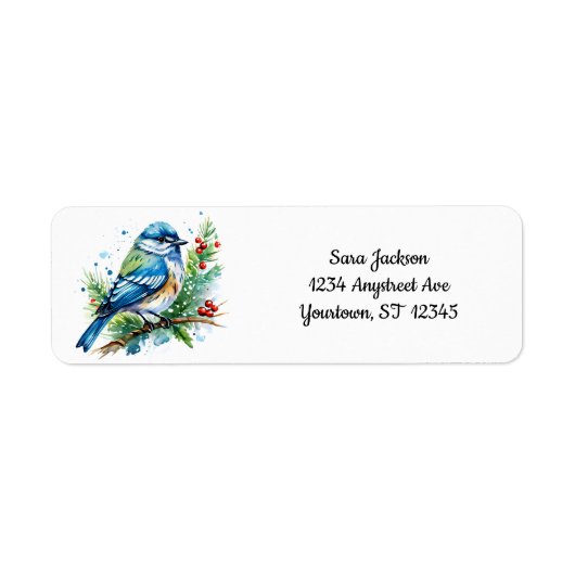 Blaumeise zu Weihnachten (Vorne)