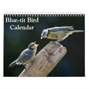 Blaumeisen-Kalender 2027 Kalender