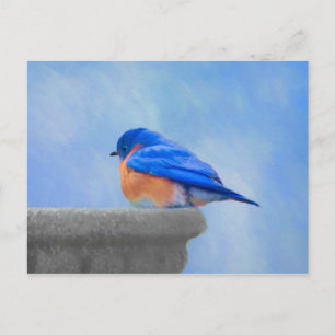 Blaumeisen-Malerei - Originale Vogelkunst Postkarte