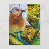 Blaumeisen-Wald-Karten-Collage Postkarte (Vorderseite)