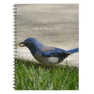 Blaumeisengras (meine Fotografie) Notizblock