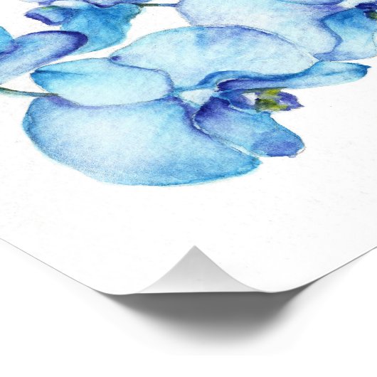 Blauorchid Botanic Print Fotodruck (Ecke)