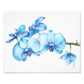 Blauorchid Botanic Print Fotodruck (Vorne)