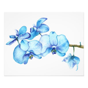 Blauorchid Botanic Print Fotodruck